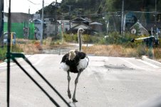 AJ2011111017082.jpg