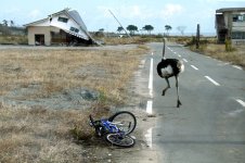 AJ2011111017083.jpg