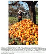 snap20111110234317.jpg