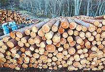 DY20111112172247736L0.jpg DY20111112172247736L0.jpg