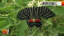 20111115_28_v_s2.jpg