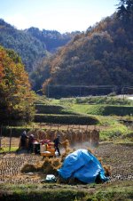 AJ201111180085.jpg