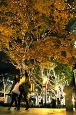AJ201112020072.jpg