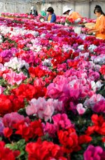 AJ201112050064.jpg