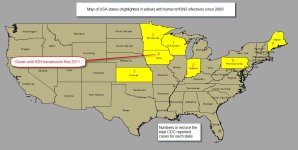 H3N2 USA corrected  20111124.jpg