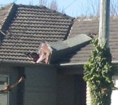 chimney through roof.jpg