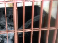 AJ201112180002.jpg