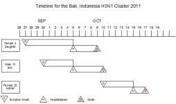Bali Cluster 3.jpg