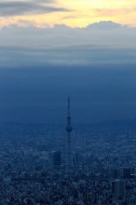 AJ201201020016.jpg