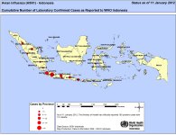 Indonesia - Cumulative H5N1 cases WHO.ID.jpg