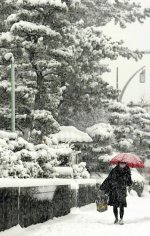 20120126-685565-1-L.jpg