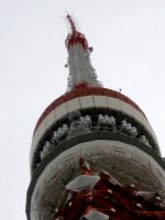 AJ201201290004.jpg
