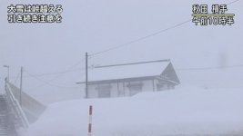 20120203_17_v_s2.jpg