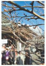 2012-02-05_111059.png