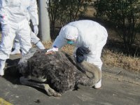 AJ201202070002.jpg