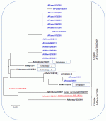virusflu150212.gif
