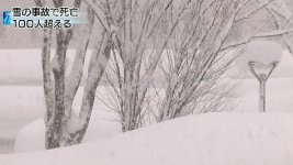 20120217_14_v_s2.jpg