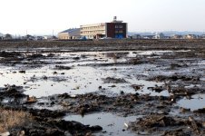 AJ201202230040.jpg