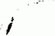 image001.gif