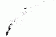 image011.gif