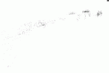 image012.gif