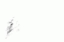 image013.gif