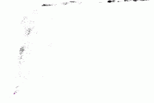 image017.gif