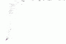 image019.gif