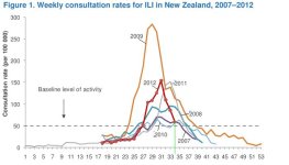 nz342.jpg