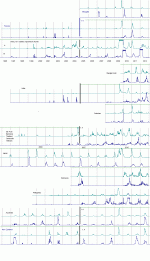 fnas1.GIF