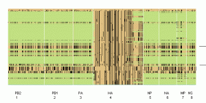 32_12f1c.gif