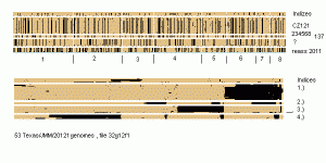 32g12f1e.GIF