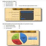 Indiana Deaths 2012 Season.jpg