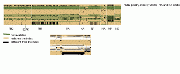 h7n9d.GIF