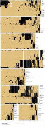 h7gua01.GIF