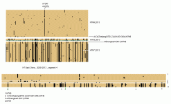 h7gua4c.gif