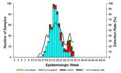 graph2sept.jpg