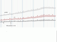 4a#ri.GIF
