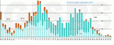 india13.GIF