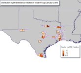 pH1N1 TX  fatalities 20140105.jpg