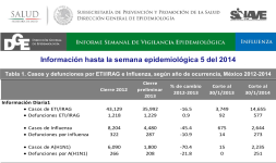 Mex 2.png