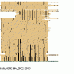 indi34.GIF