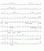 US14202.GIF