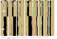 bg14w01.GIF