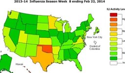 Flu Map Wk 8 A.jpg