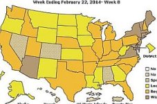 Flu Map Wk 8 B.jpg