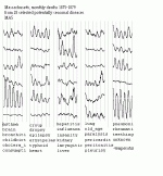 MASD5c.GIF