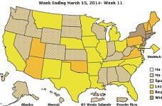 Flu Map B Wk 9.jpg