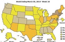 Flu Map B Wk 10.jpg