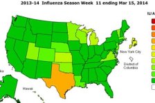 Flu Map A Wk 11.jpg